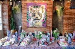 Celia B Homeware><noscript><img width=